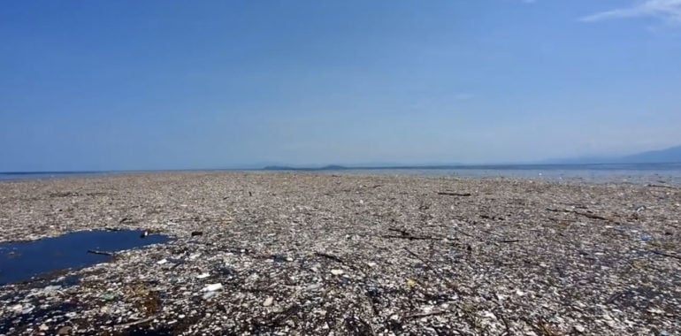 Sea Of Plastic