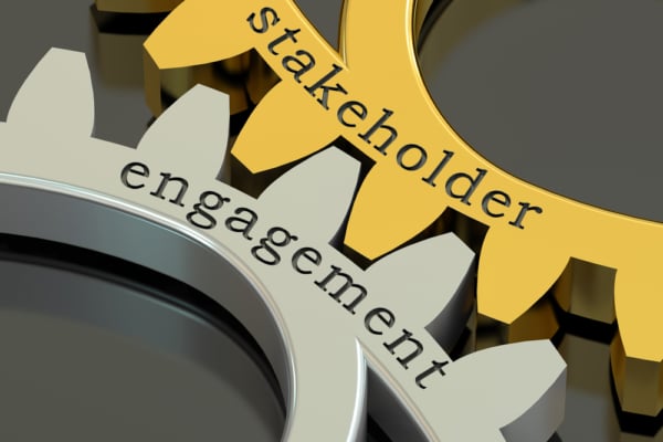 Stakeholder Engagement Cogs